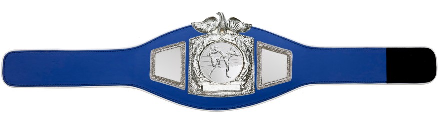 PROEAGLE THAI BOXING CHAMPIONSHIP BELT - PROEAGLE/S/TBOS - AVAILABLE IN 6+ COLOURS PROEAGLE THAI BOXING CHAMPIONSHIP BELT - PROEAGLE/S/TBOS - AVAILABLE IN 6+ COLOURS
